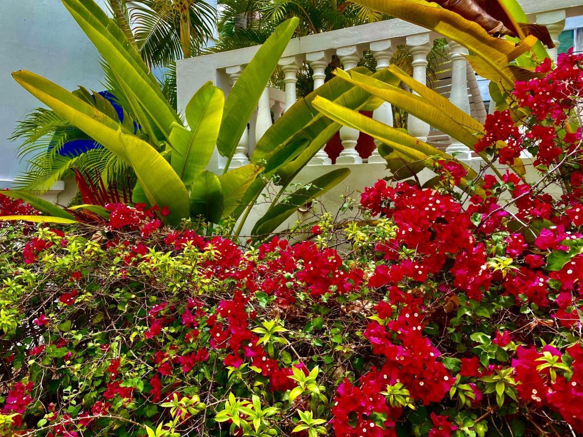 At Wind Chimes Boutique Hotel San Juan Exterior photo